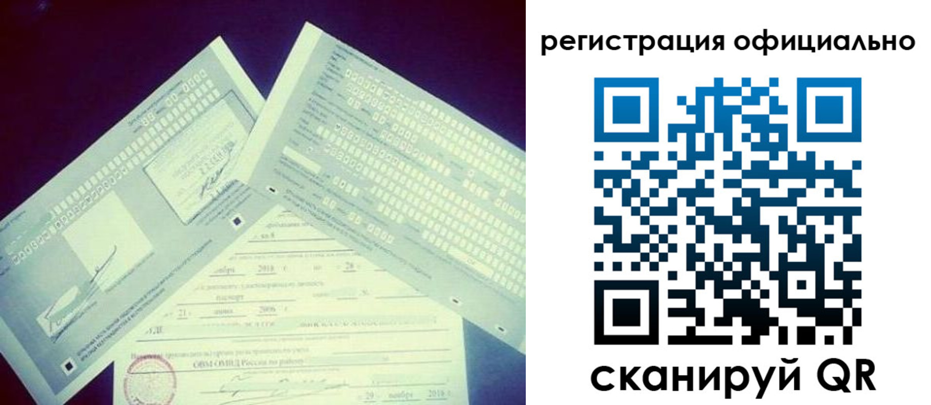прописка поиск в Сургуте